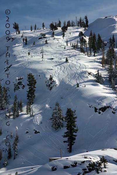 Nugget #167 G Skiing Below Donner Pass