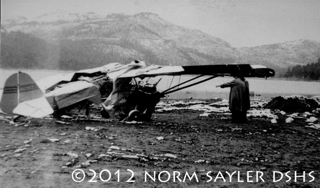 Nugget #223 Buek Plane Crash