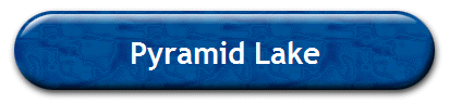 Pyramid Lake