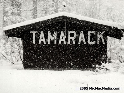 Tamaracksnowsm02