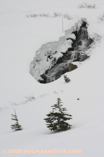 Nugget #112 D Sierra snowmelt May 07 Squaw Nugget #112 D Sierra snowmelt May 07 Squaw