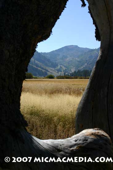 Nugget-#115-B-Squaw-through Nugget-#115-B-Squaw-through
