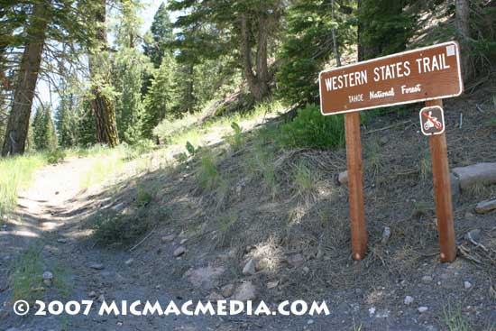 Nugget-#115-D-Western-State Nugget-#115-D-Western-State