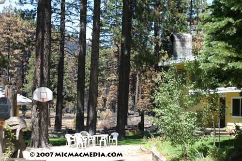 Nugget-#117-B-Angora-home-s Nugget-#117-B-Angora-home-s