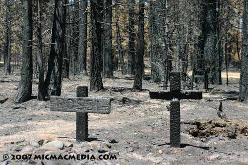 Nugget-#117-C-Burned-pet-ma Nugget-#117-C-Burned-pet-ma