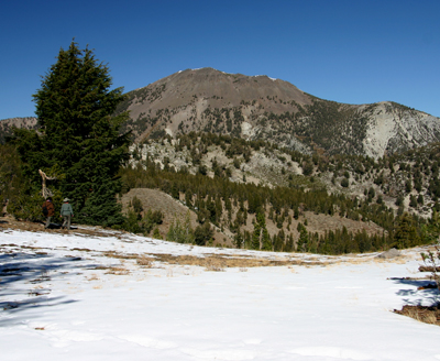 Nugget #122 B Mt Rose Hike Nugget #122 B Mt Rose Hike