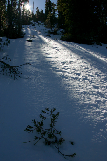 Nugget #122 E Mt Rose HIKE Nugget #122 E Mt Rose HIKE