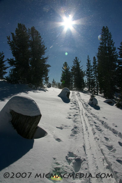 Nugget 126 E Sunflakes XC First Storm Nugget 126 E Sunflakes XC First Storm