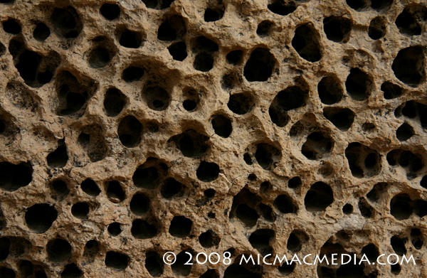 Nugget #152 C Lava vesicles close up detail Nugget #152 C Lava vesicles close up detail