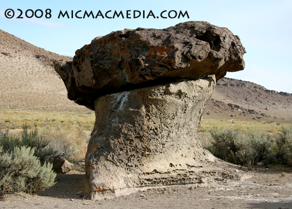 Nugget #152 G Volcanic Mushroom Nugget #152 G Volcanic Mushroom