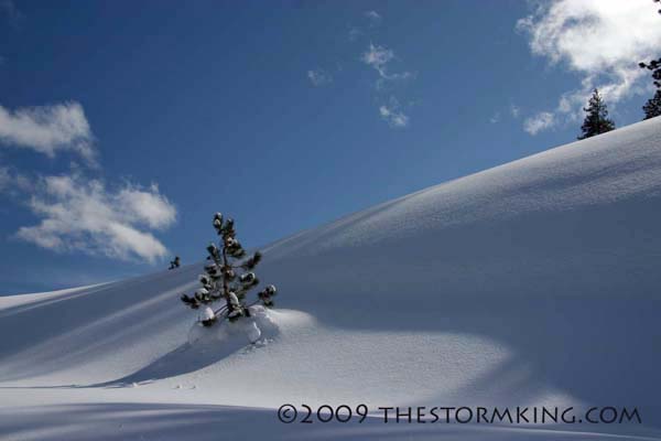 Nugget #167 F Landscape covered in Powder Nugget #167 F Landscape covered in Powder