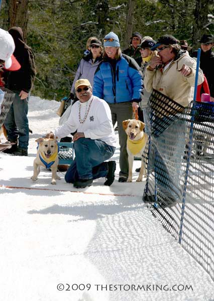 Nugget #168 C Dog Ready to Go02 Nugget #168 C Dog Ready to Go02