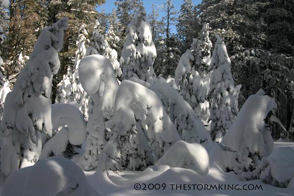 Nugget #174 First Snow of Season