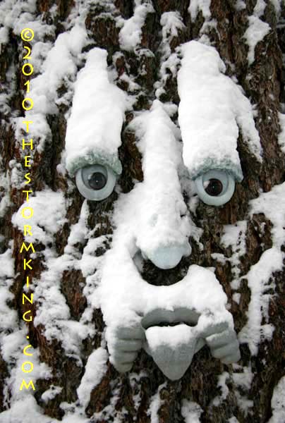 Nugget #176 Tree Face Nugget #176 Tree Face