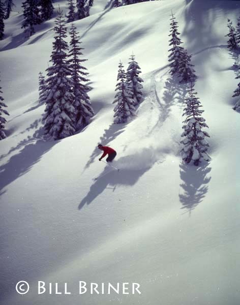 Nugget #177 Squaw Skier Nugget #177 Squaw Skier