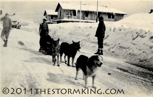 1938 Truckee Dog Sled mutts 1938 Truckee Dog Sled mutts