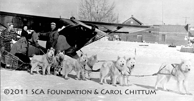 Nugget #197 Rex lead dog sled Nugget #197 Rex lead dog sled