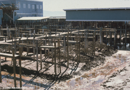 Nugget #69 A Boat harbor drought 1992003-01 Nugget #69 A Boat harbor drought 1992003-01