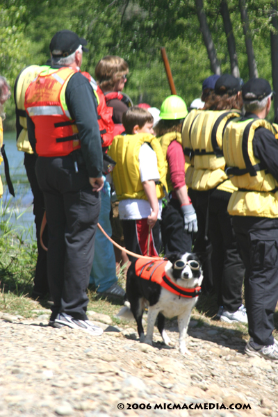 Nugget #73 D Rescue crew dog Nugget #73 D Rescue crew dog