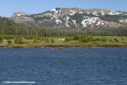 Nugget #85 A Lake Van Norden Donner Peak