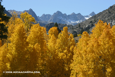Nugget 94 E Sabrina Lake aspens copy Nugget 94 E Sabrina Lake aspens copy